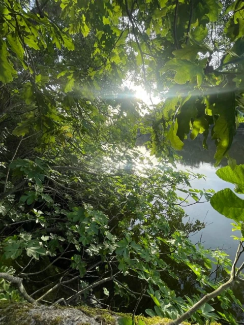 Terreno para Venda em Souselo