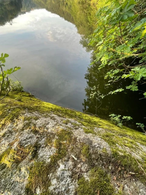Terreno para Venda em Souselo