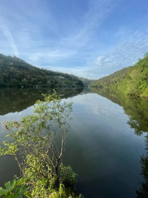 Terreno para Venda em Souselo
