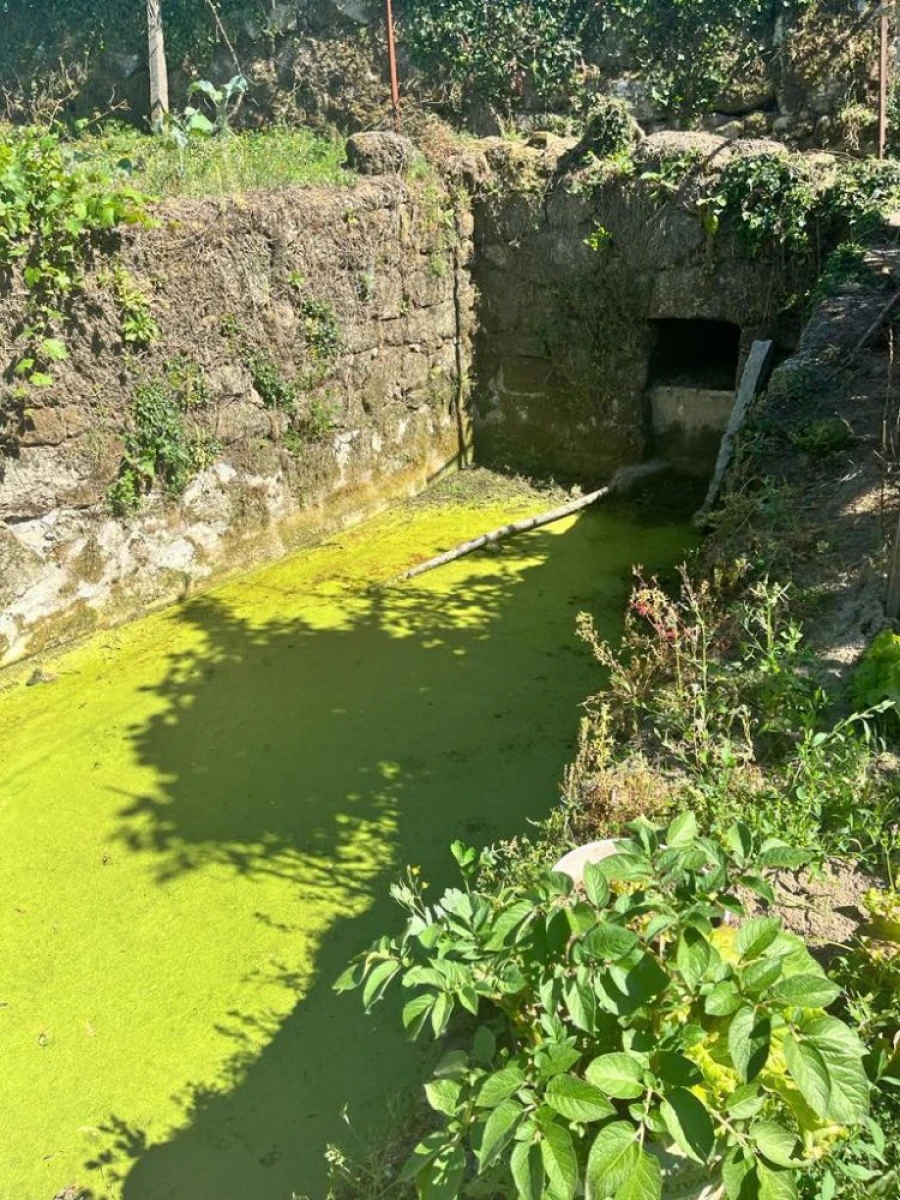 Terreno para Venda em Souselo Foto 10