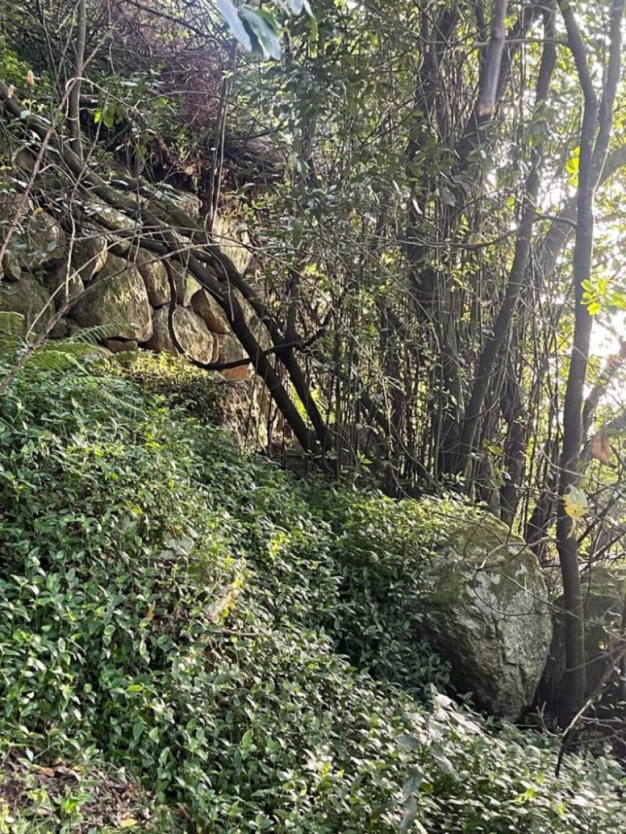 Terreno para Venda em Souselo Foto 28