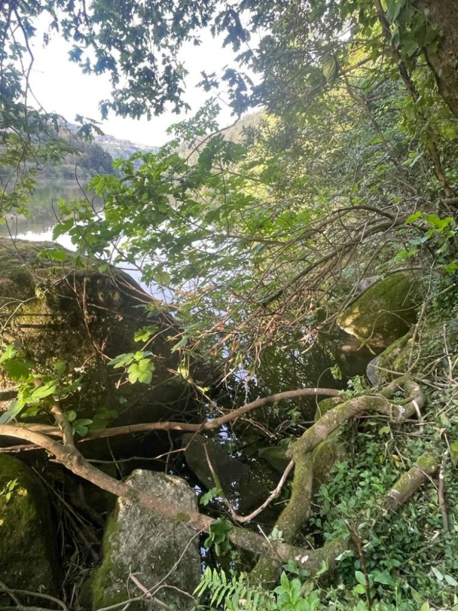 Terreno para Venda em Souselo Foto 26