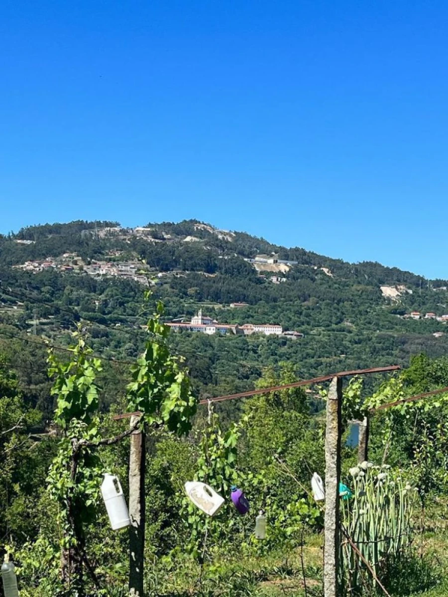 Terreno para Venda em Souselo Foto 4
