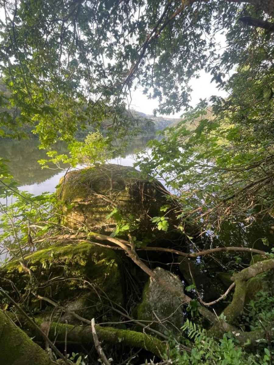 Terreno para Venda em Souselo Foto 27