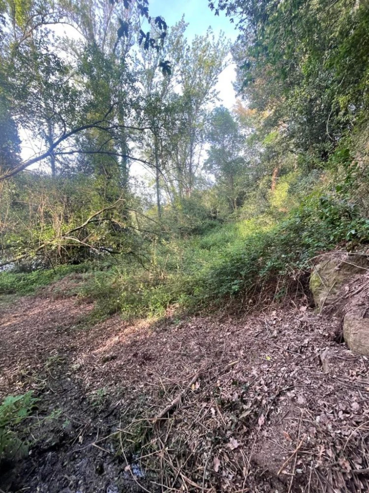 Terreno para Venda em Souselo Foto 23