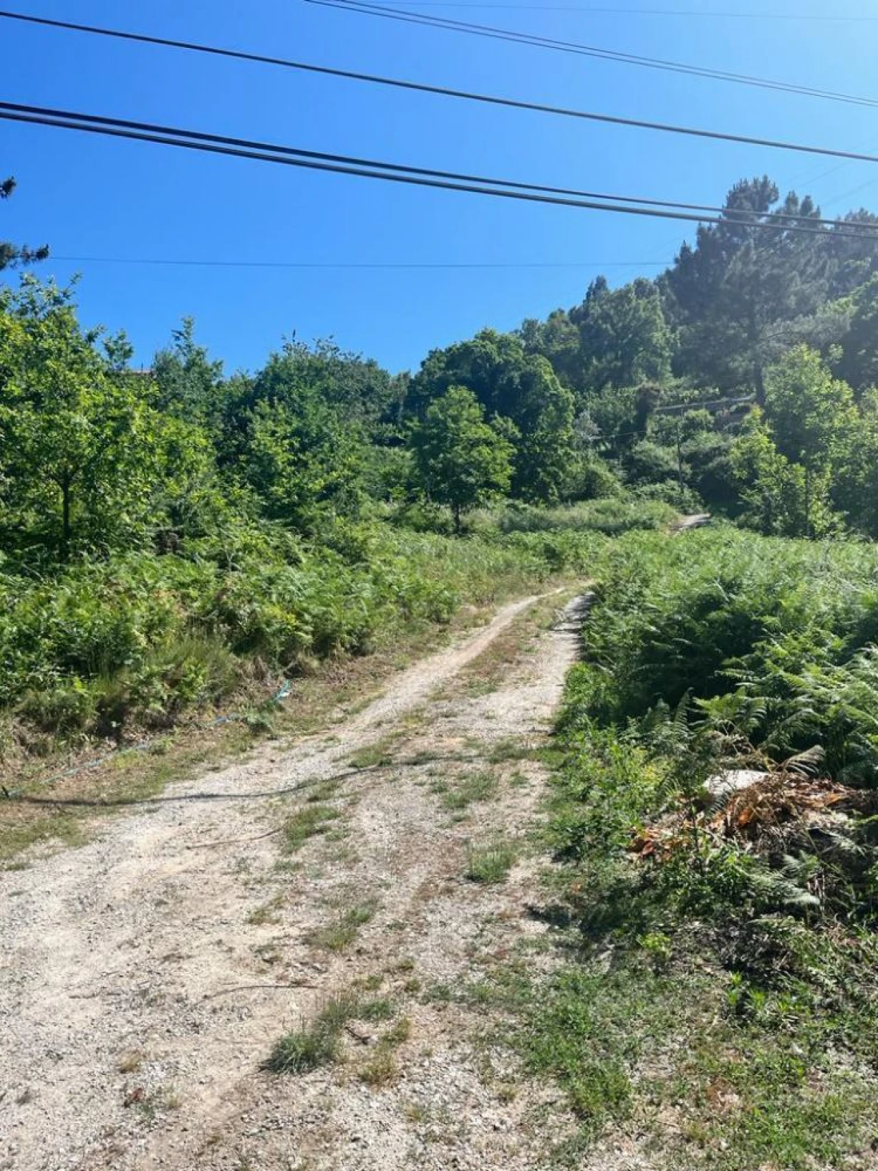 Terreno para Venda em Souselo Foto 5