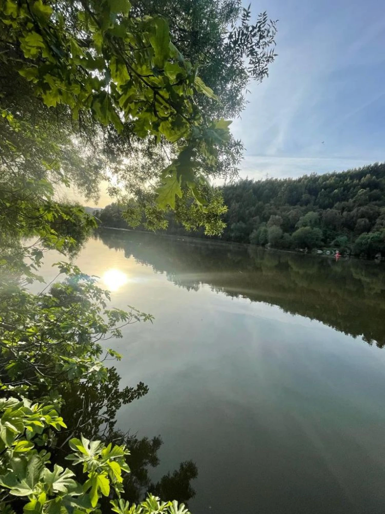 Terreno para Venda em Souselo Foto 33