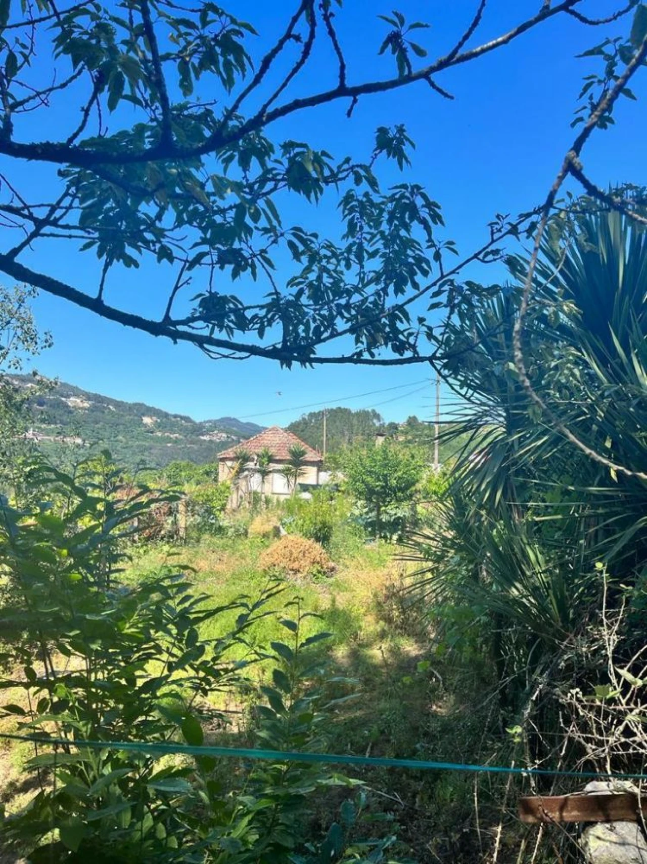 Terreno para Venda em Souselo Foto 2