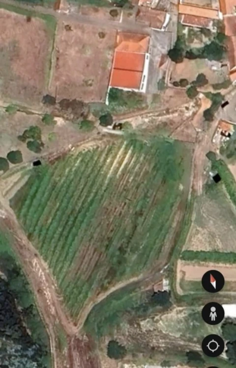 Terreno para Venda em Irivo