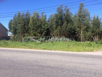 Terreno para Arrendamento em Cacia