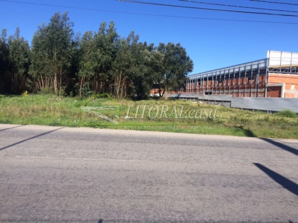 Terreno para Arrendamento em Cacia Foto 2