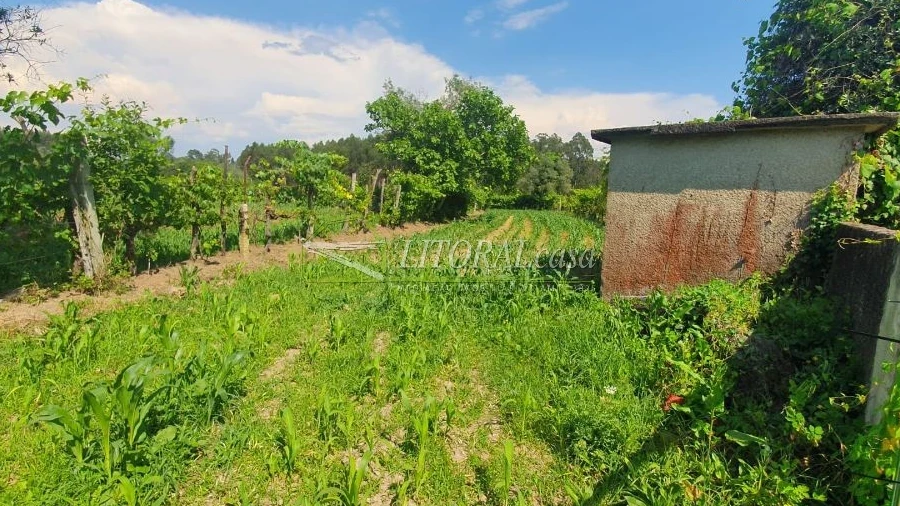 Terreno para Venda em Angeja