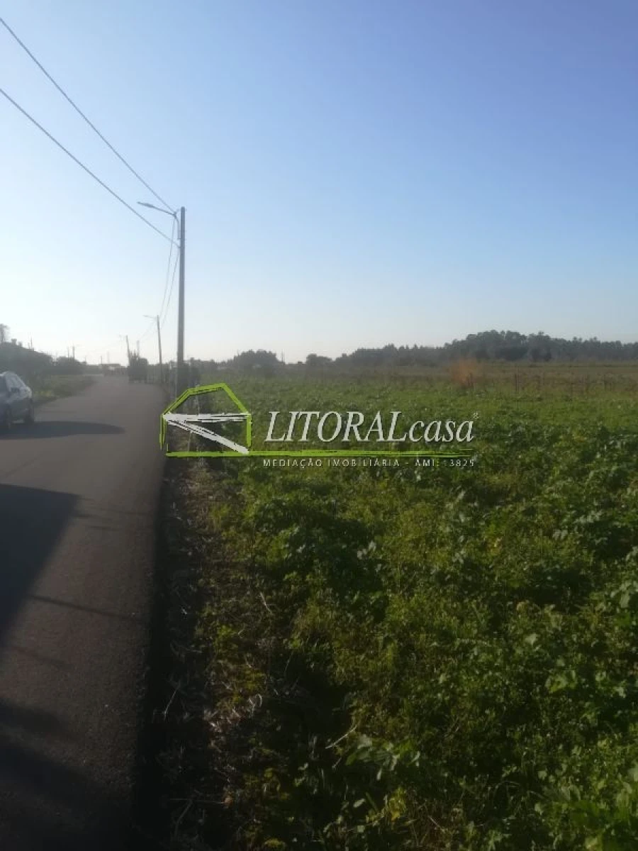 Terreno para Venda em Requeixo, Nossa Senhora de Fátima e Nariz Foto 5