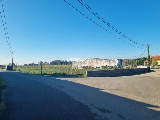 Terreno para Venda em Requeixo, Nossa Senhora de Fátima e Nariz Foto 2