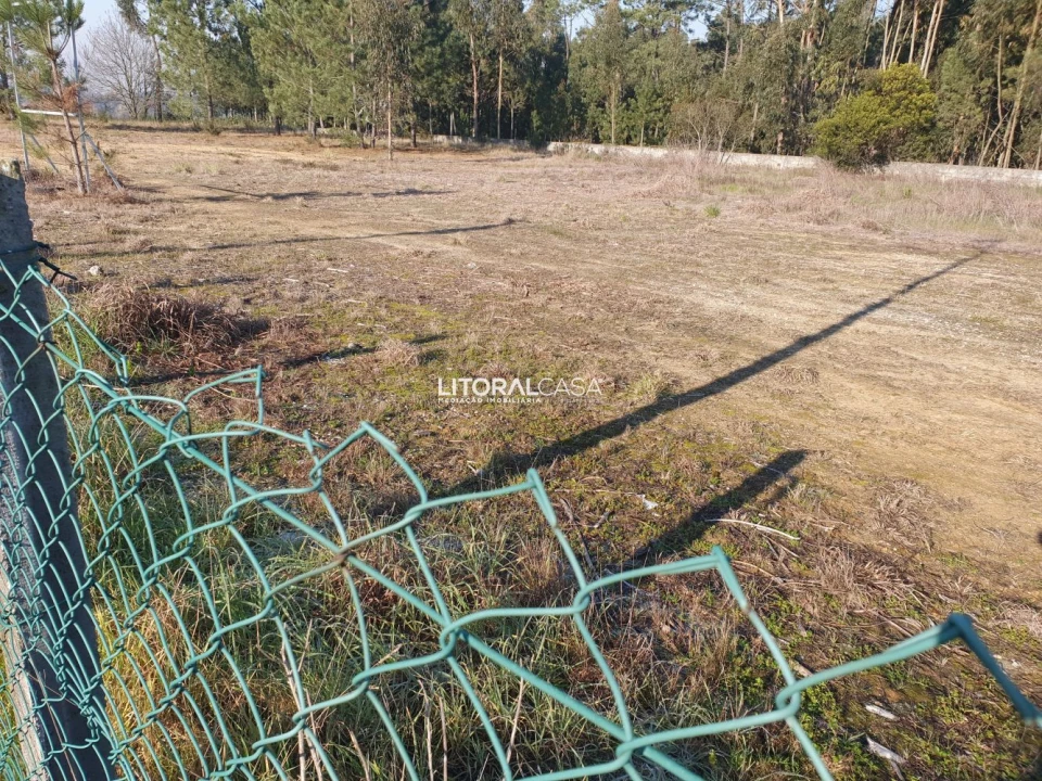 Terreno para Venda em Oiã Foto 5