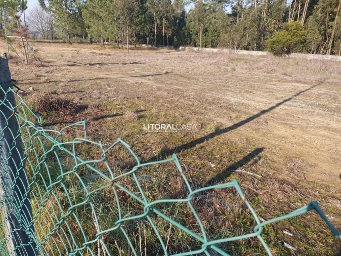 Terreno para Venda em Oiã Foto 5