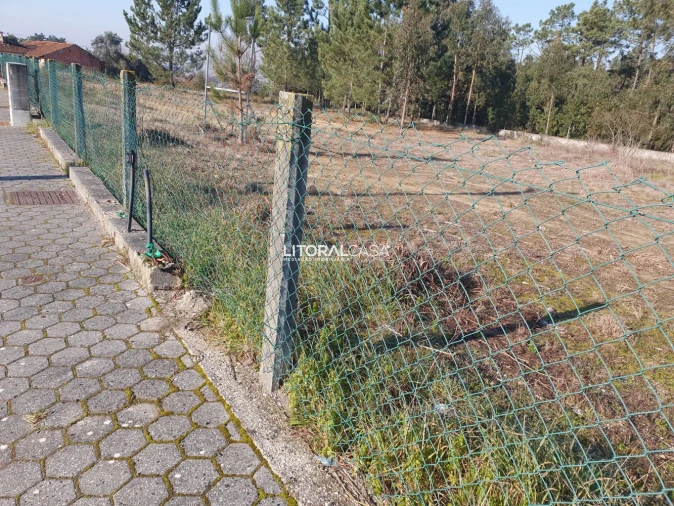 Terreno para Venda em Oiã Foto 2