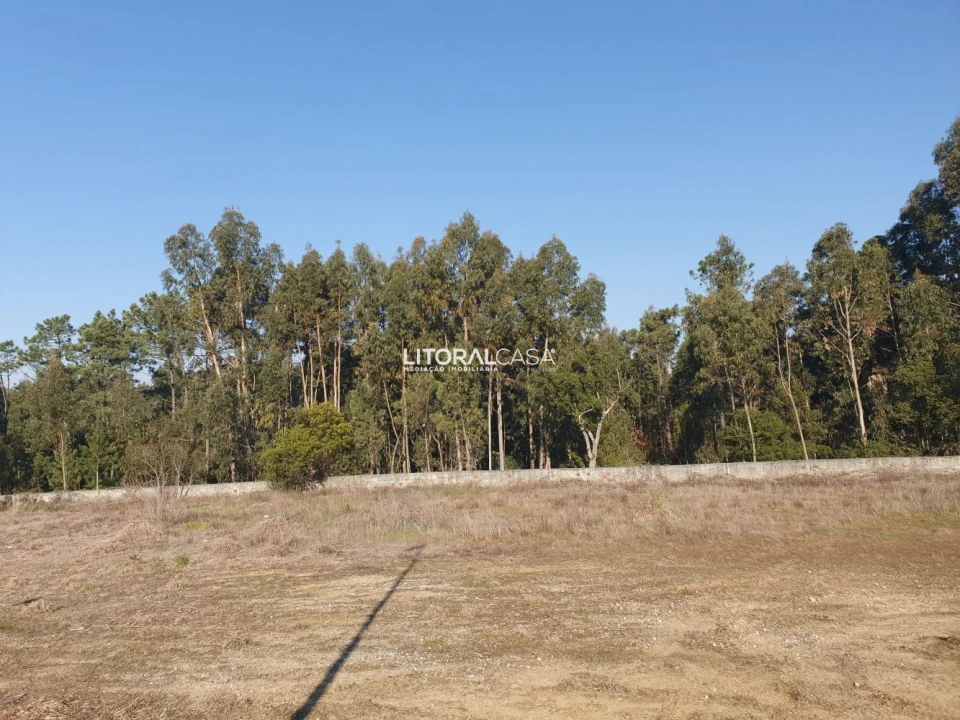 Terreno para Venda em Oiã Foto 6