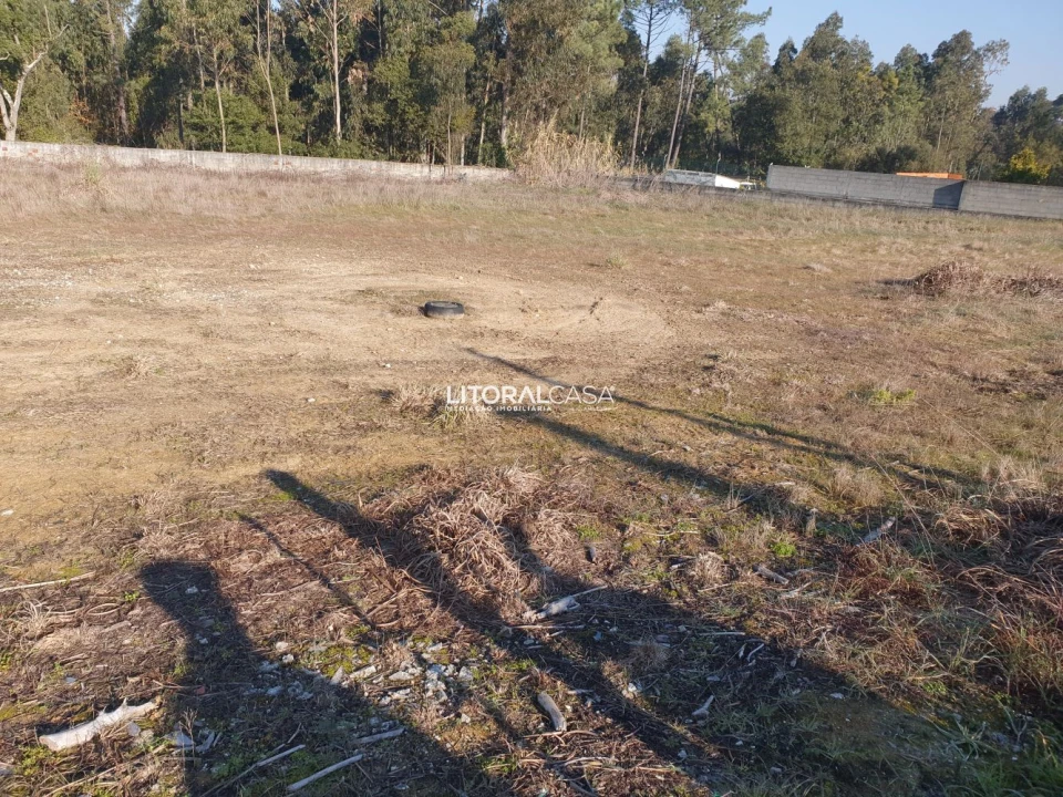 Terreno para Venda em Oiã Foto 8