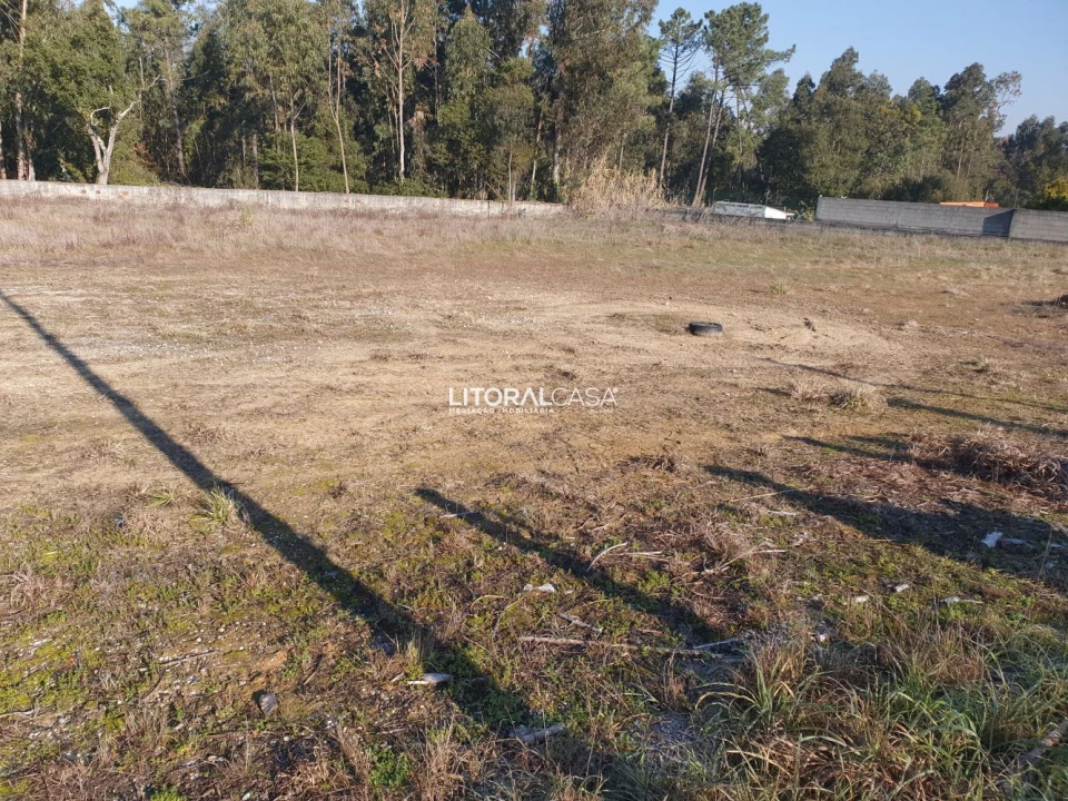 Terreno para Venda em Oiã Foto 7