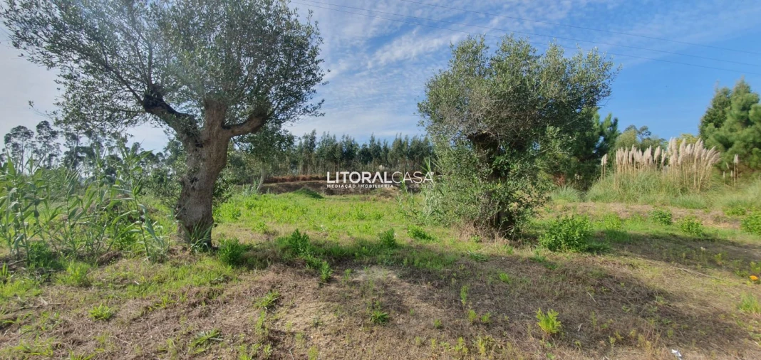 Terreno para Venda em São Bernardo Foto 10