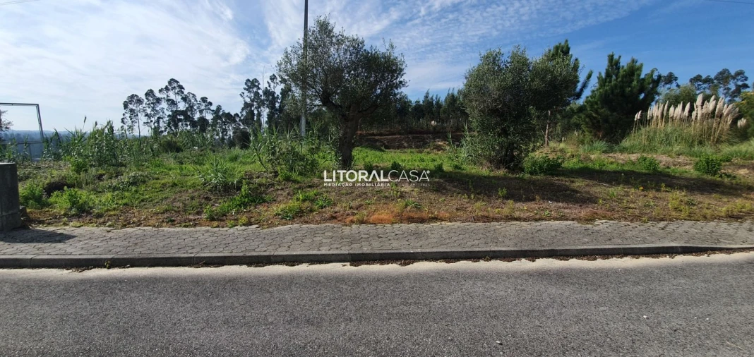 Terreno para Venda em São Bernardo Foto 5