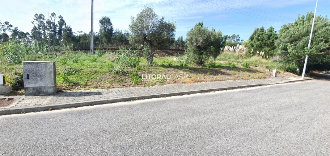 Terreno para Venda em São Bernardo Foto 3