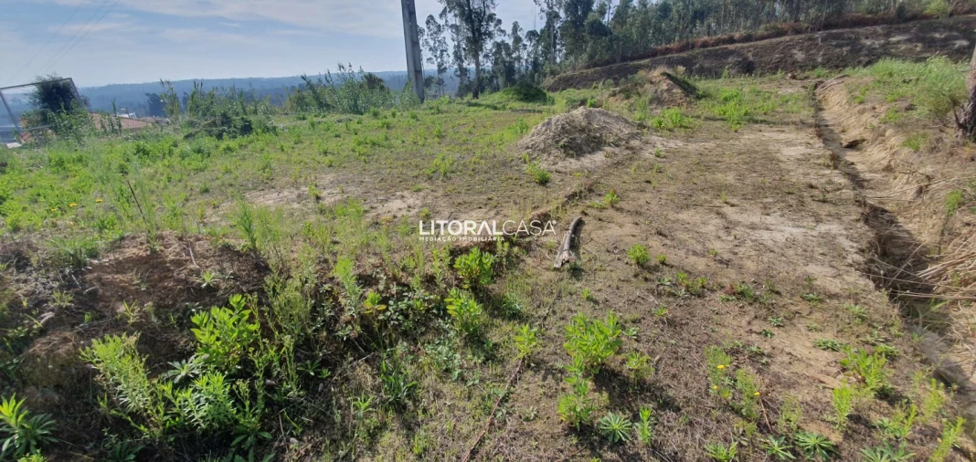 Terreno para Venda em São Bernardo Foto 9