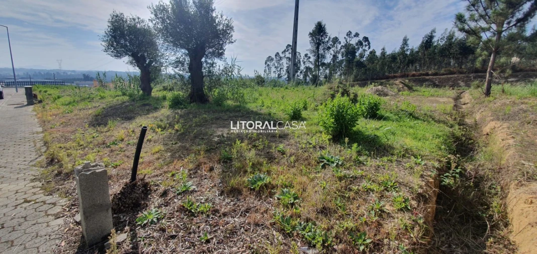 Terreno para Venda em São Bernardo Foto 7