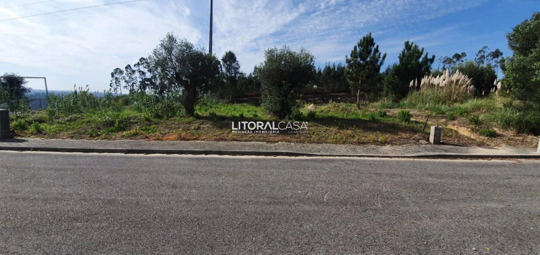 Terreno para Venda em São Bernardo Foto 6