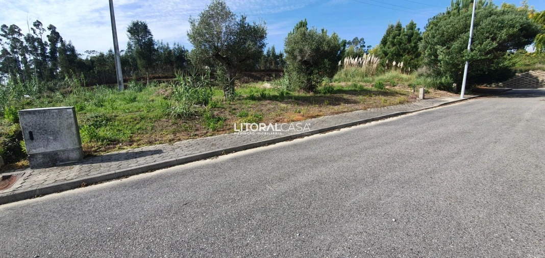 Terreno para Venda em São Bernardo Foto 4