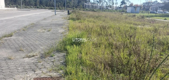 Terreno para Venda em Santa Joana