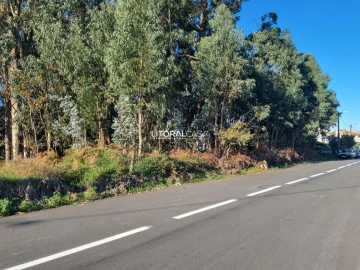 Terreno para Venda em Santa Joana