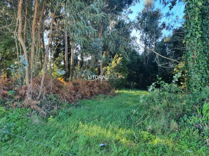 Terreno para Venda em Santa Joana Foto 17