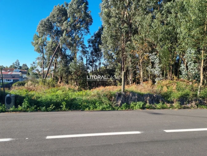 Terreno para Venda em Santa Joana Foto 7