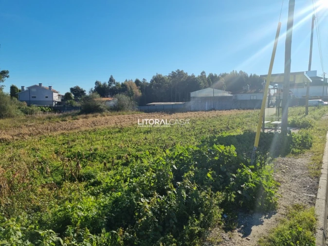 Terreno para Venda em Santa Joana Foto 5
