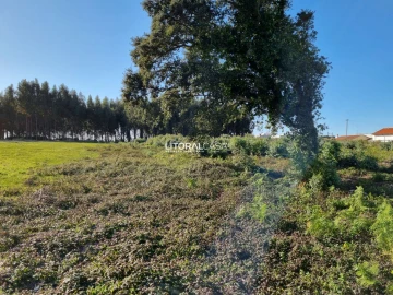 Terreno para Venda em Aradas