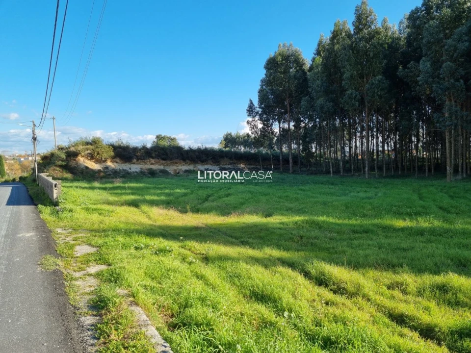 Terreno para Venda em Aradas Foto 14