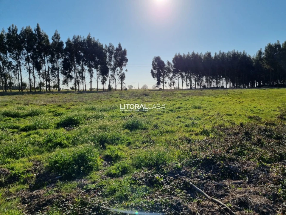 Terreno para Venda em Aradas Foto 10