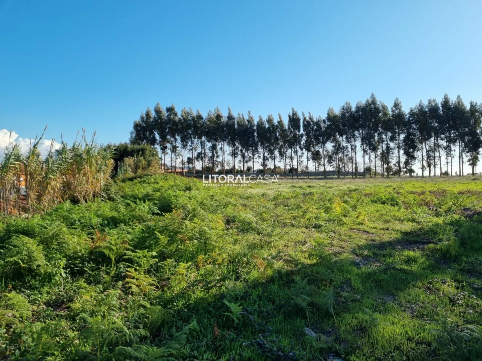 Terreno para Venda em Aradas Foto 8