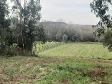 Terreno para Venda em Eixo e Eirol