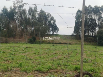 Terreno para Venda em Eixo e Eirol