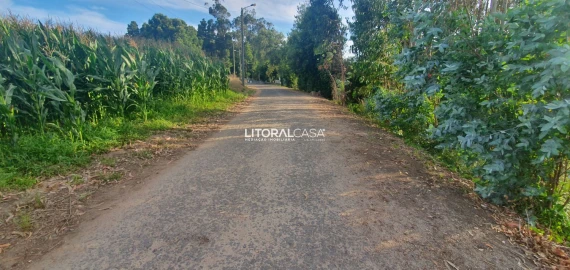 Terreno para Venda em Eixo e Eirol