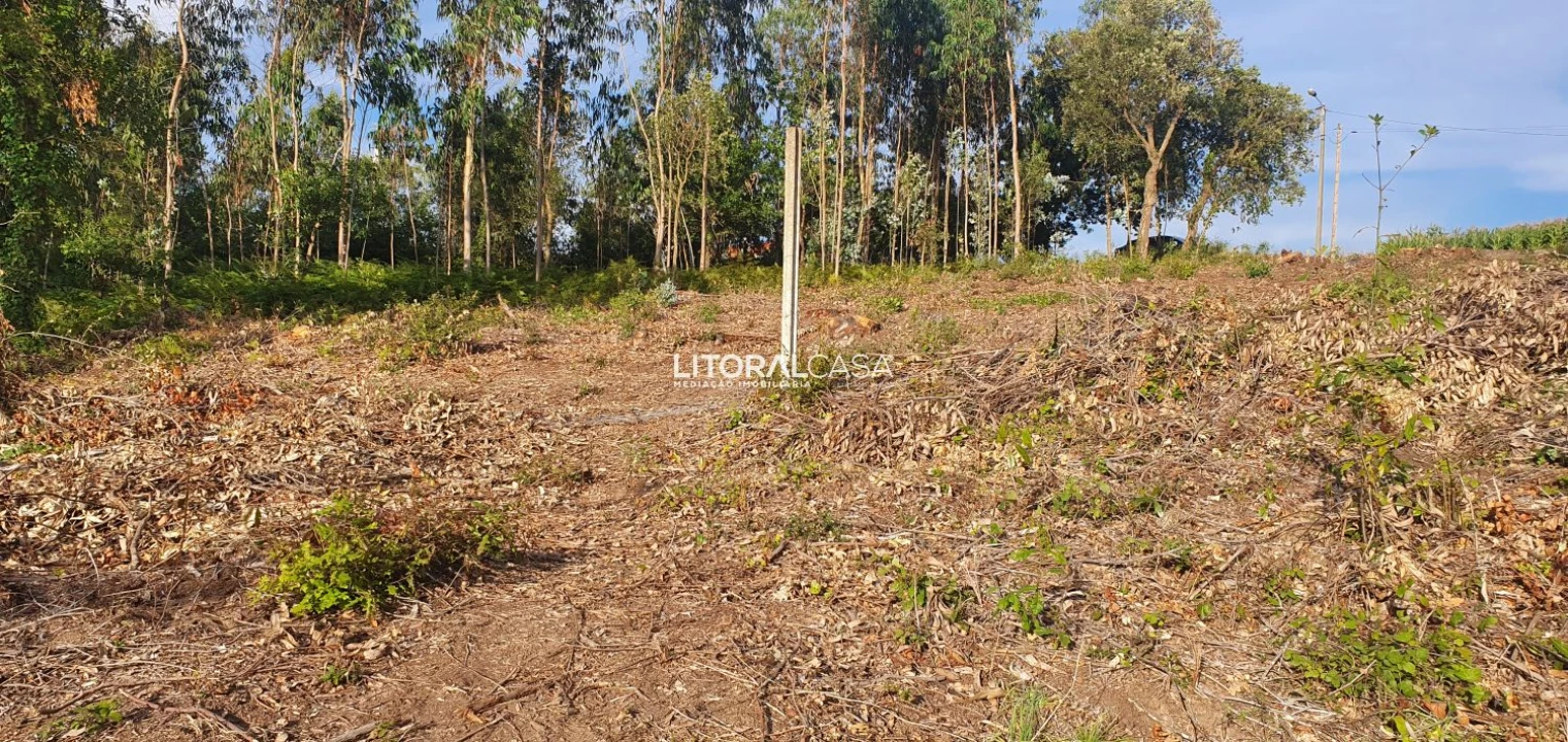 Terreno para Venda em Eixo e Eirol Foto 14