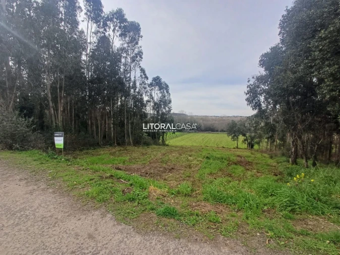 Terreno para Venda em Eixo e Eirol Foto 9