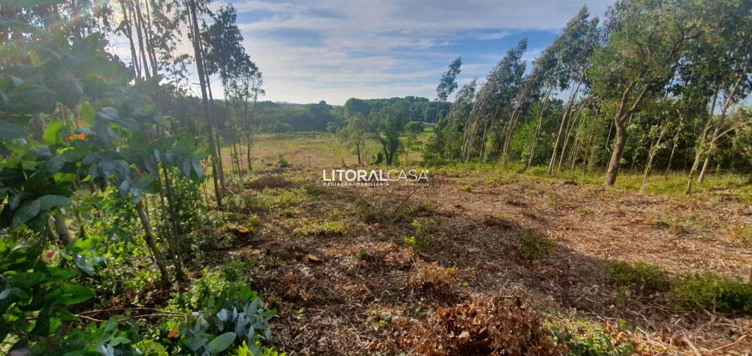 Terreno para Venda em Eixo e Eirol Foto 11