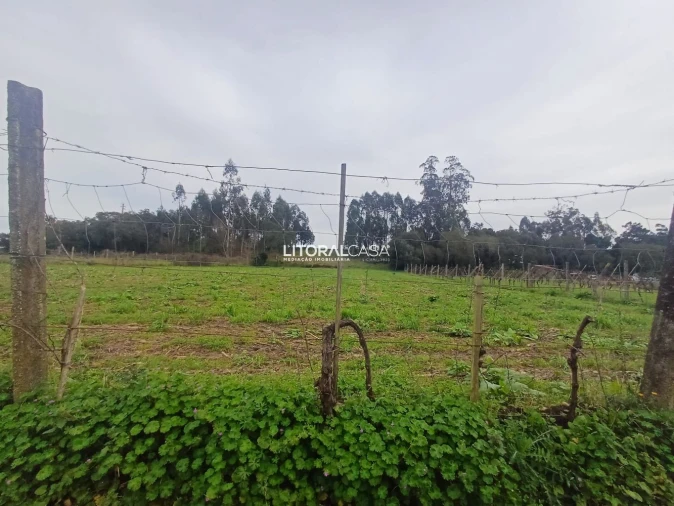 Terreno para Venda em Eixo e Eirol Foto 15