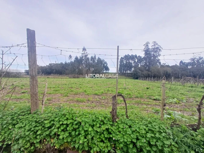 Terreno para Venda em Eixo e Eirol Foto 16