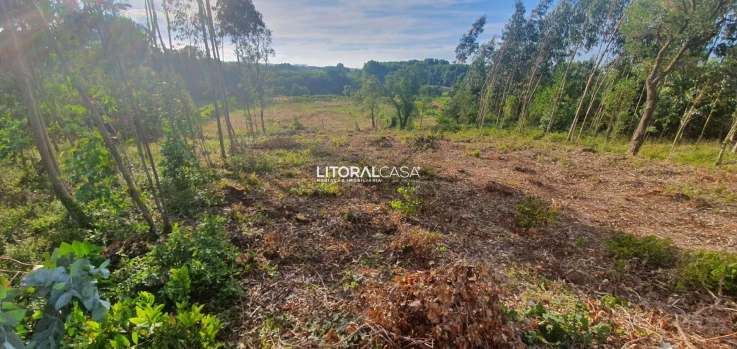 Terreno para Venda em Eixo e Eirol Foto 7