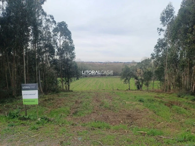 Terreno para Venda em Eixo e Eirol Foto 10